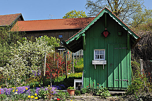 小屋,花园,巴登符腾堡,德国