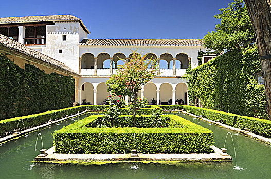 室内,花园,阿尔罕布拉,要塞,格拉纳达,南,西班牙