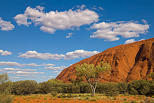 艾尔斯岩,白色,积云,乌卢鲁卡塔曲塔国家公园,北领地州,澳大利亚