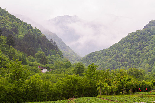 山区