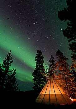 光亮,圆锥形帐篷,北极光,极地,绿色,靠近,育空地区,加拿大