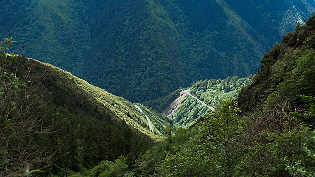 四川阿坝巴朗山熊猫王国之巅风景