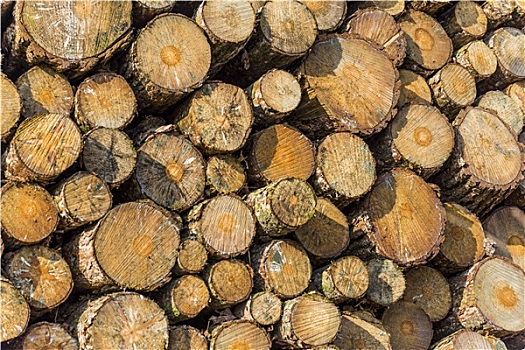 木材,木头