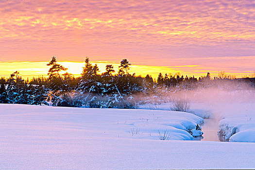 溪流,冬天,日落,爱德华王子岛,加拿大