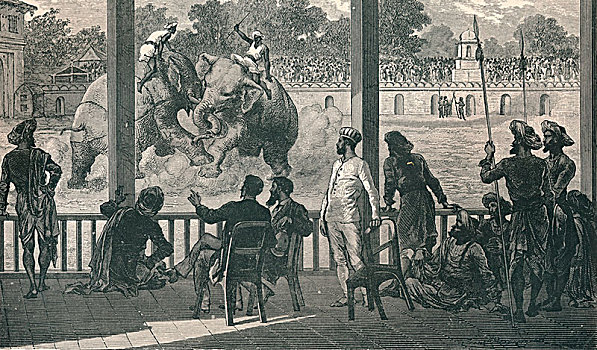 大象,争斗,1896年,艺术家,未知