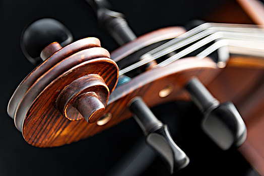 西洋乐器大提琴的琴头,弦轴