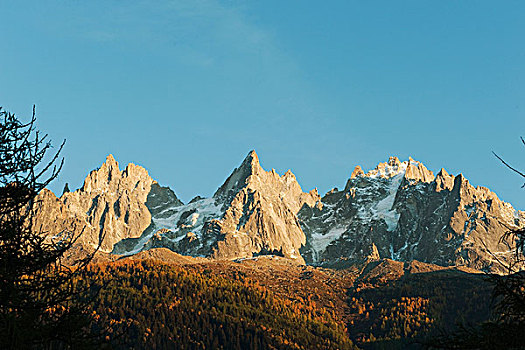 雪冠,山,树林,秋天,色调