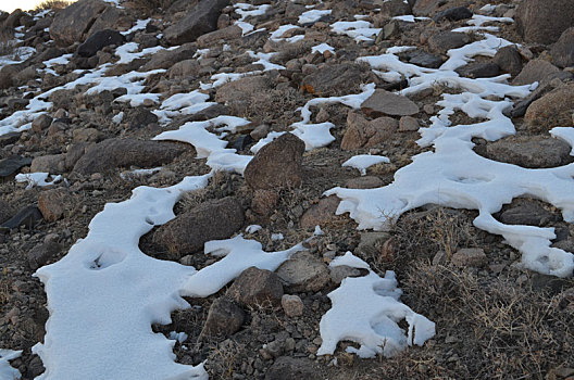 新疆哈密,天山雪韵