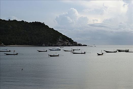 清晨,渔船,湾,岛屿,苏梅岛,泰国