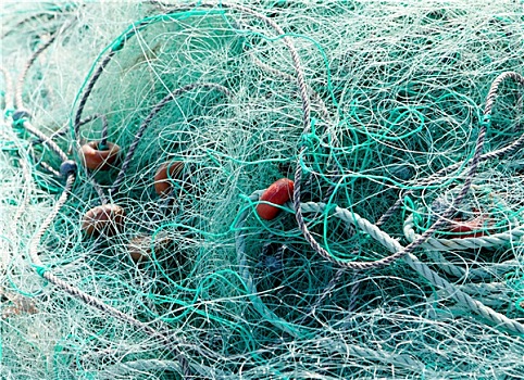 缠结,绿色,渔网