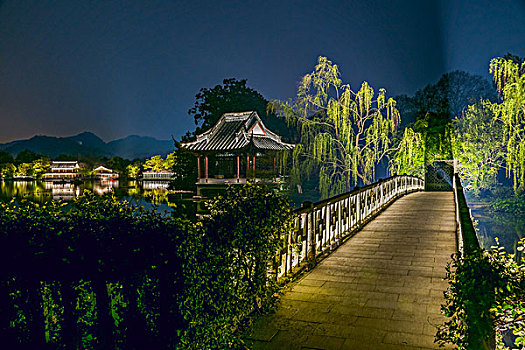 杭州花港观鱼公园夜景
