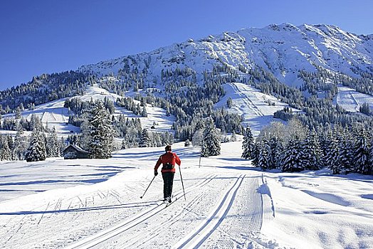 越野滑雪,男人,阿尔卑斯山,巴伐利亚,德国,欧洲