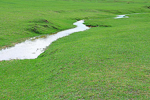 广袤的草原上与蜿蜒的河流