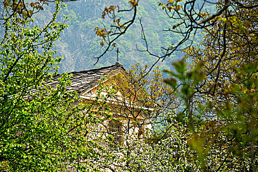 小教堂,屋顶,树枝