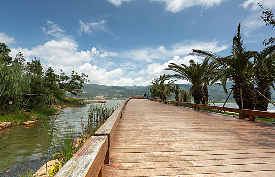 泸西黄草洲湿地公园