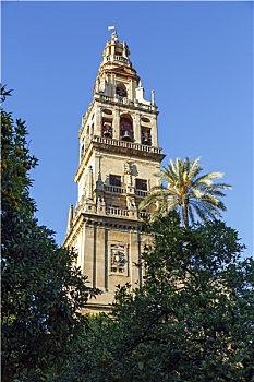 尖塔,清真寺,科多巴,西班牙