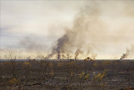 灌丛火灾,北领地州,澳大利亚