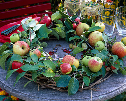 苹果树,苹果,花环,铁线莲,留白