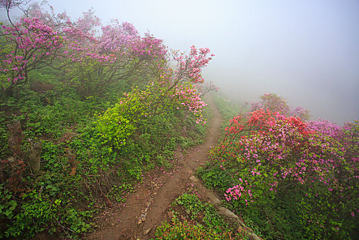 山路