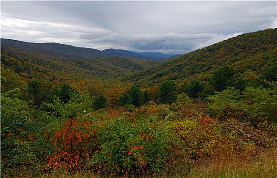 秋色,仙纳度国家公园,弗吉尼亚