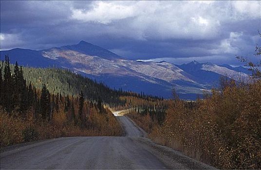 北方,贫乏,道路,碎石路,戴珀斯特公路,育空,加拿大,北美