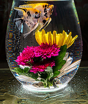 bright,flowers,and,beautiful,angelfish,in,the,cup