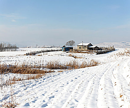 东北吉林省敦化市两江镇农村雪景