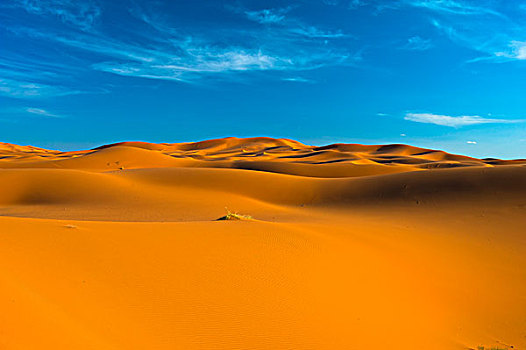 沙丘,却比沙丘,撒哈拉沙漠,南方,摩洛哥,非洲