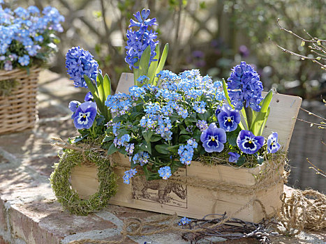 木盒,蓝色,春天