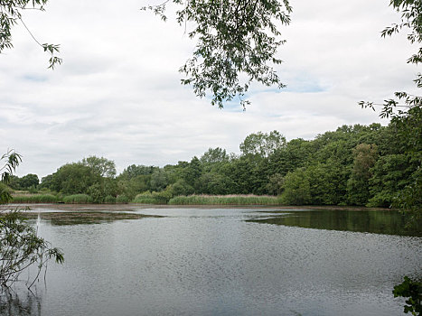 乡野,湖,场景,夏天,英格兰,英国