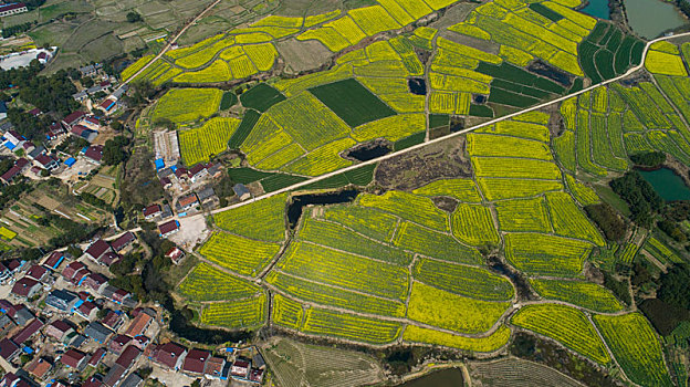 美丽乡村,春色如画