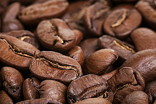 大,阿拉伯咖啡,咖啡豆,特写