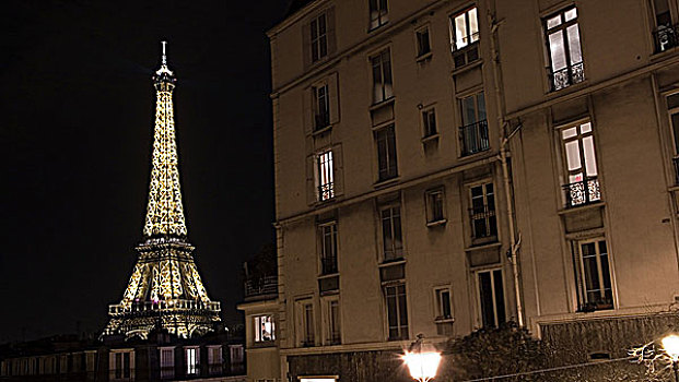 法国,巴黎,埃菲尔铁塔,夜景,休闲场所