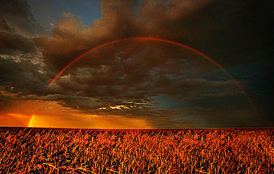 彩虹,高处,土地
