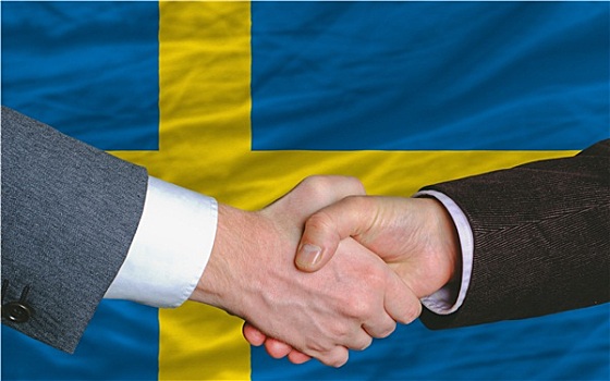 商务人士,握手,交易,正面,瑞典,旗帜