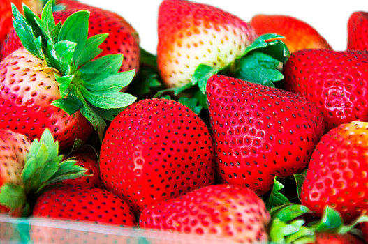 特写新鲜多汁的草莓