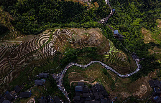 广西龙脊梯田灌水景色