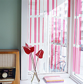 花,老,无线电,窗,瑞典