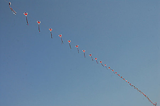 风筝,流行,孩子,成年,孟加拉,达卡,一月,2007年