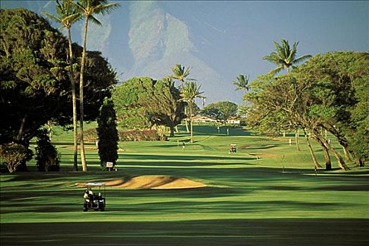夏威夷,毛伊岛,乡村俱乐部,风景,高尔夫球车,打高尔夫,下午,影子
