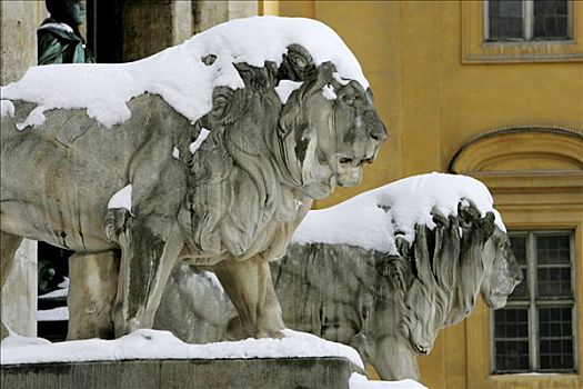 德国,慕尼黑,积雪,狮子,雕塑,靠近,宫廷花园