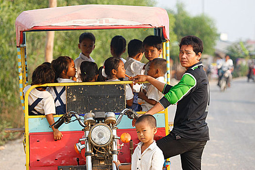 柬埔寨,收获,嘟嘟车,驾驶员