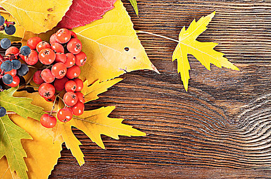 秋天,背景,黄叶,红色,成熟,浆果