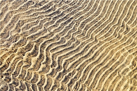 沙子,波纹,浅水