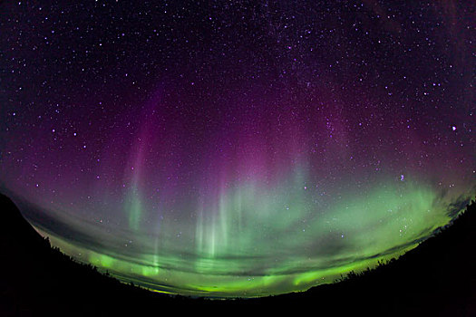 帘,北极光,极地,绿色,粉色,紫色,靠近,育空地区,加拿大
