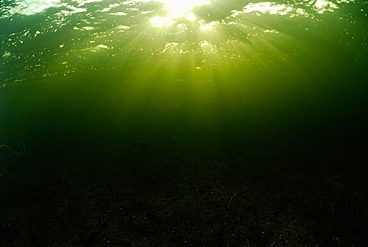 水下摄影,波罗的海