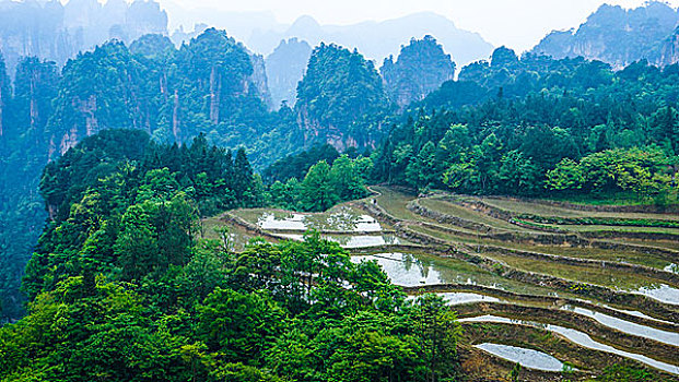 张家界景区空中梯田