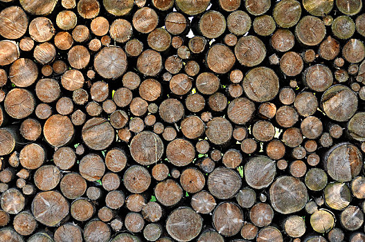 一堆,木柴,上巴伐利亚,巴伐利亚,德国,欧洲