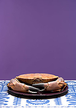 蟹肉,坐,圆形,盘子,蓝色,白色,桌子,布,紫色,墙壁,后面
