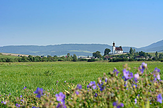 教堂,草地,斯洛伐克
